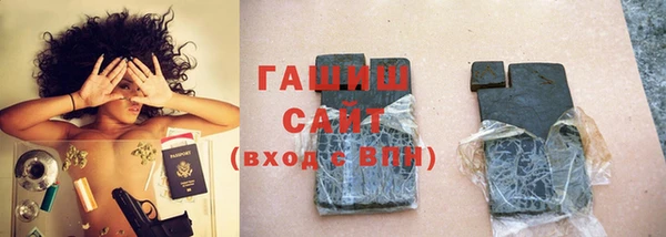 индика Богородицк