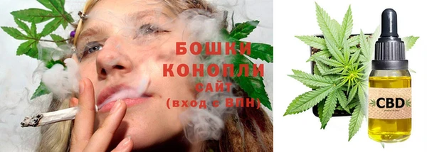 гашик Богородск