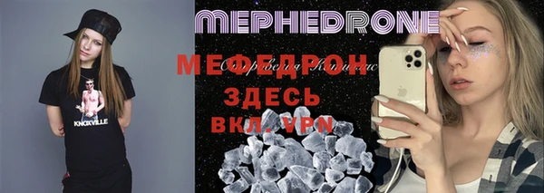 индика Богородицк