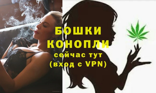индика Богородицк