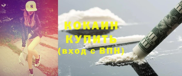 индика Богородицк