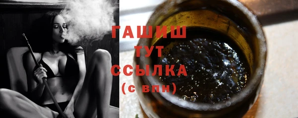 индика Богородицк