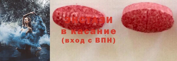 индика Богородицк