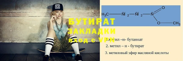 индика Богородицк