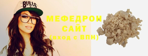 индика Богородицк