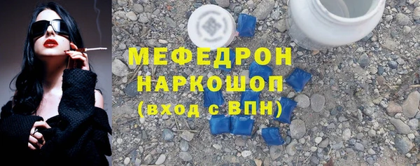 индика Богородицк