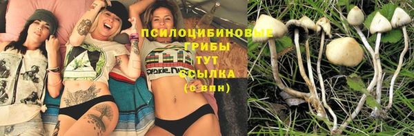 индика Богородицк