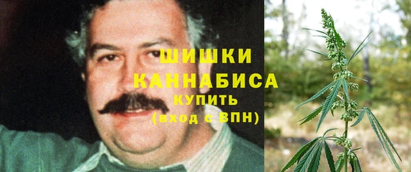 индика Богородицк