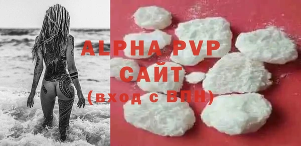 индика Богородицк