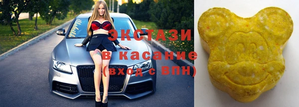 индика Богородицк