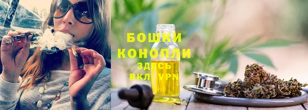 индика Богородицк